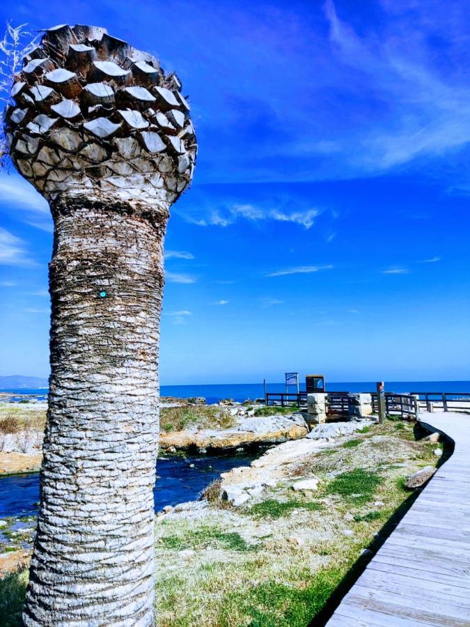 Apartamento Acogedor En Cabanes, Torre La Sal, Costamar I Marina D'Or Venta de San Antonio-Estacion エクステリア 写真